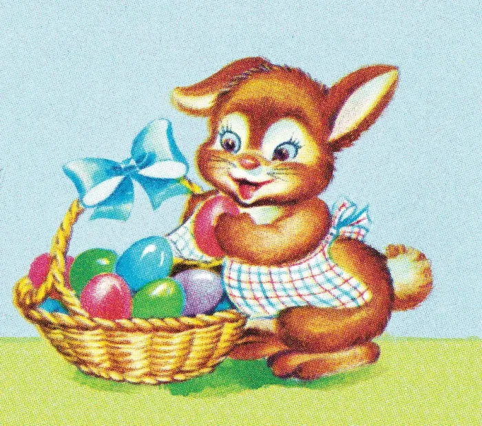 Framed Print : Easter bunny
