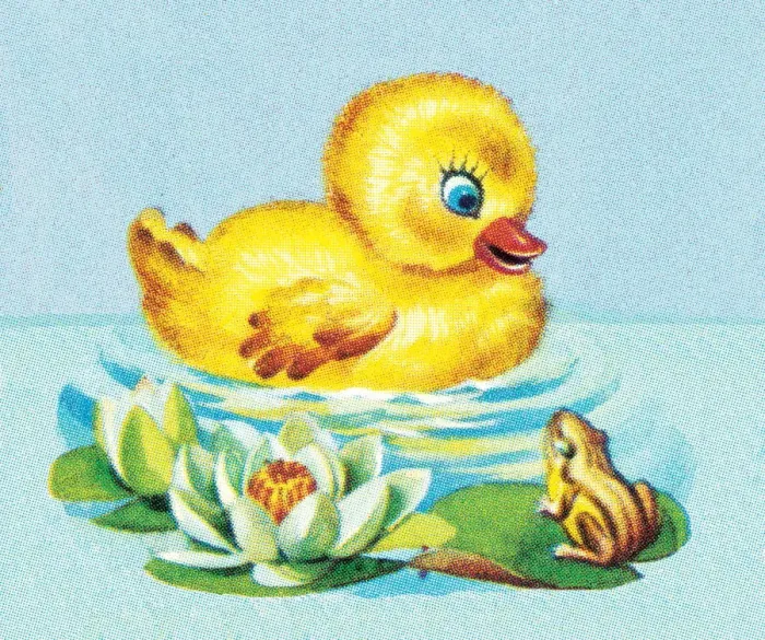 Framed Print : Easter chick Framed Print : Easter chick