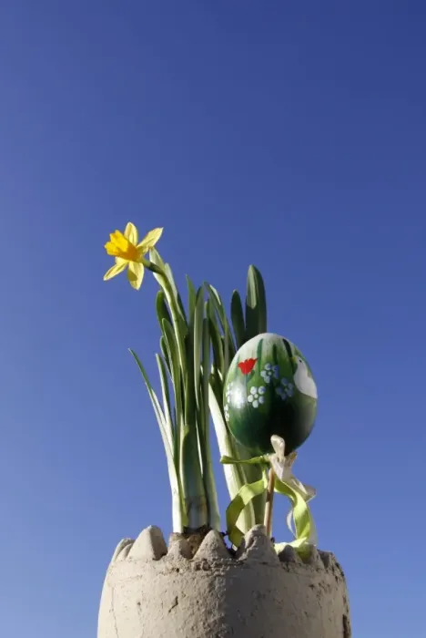 Framed Print : Easter decorations, daffodils and a painted Easter egg Framed Print : Easter decorations, daffodils and a painted Easter egg