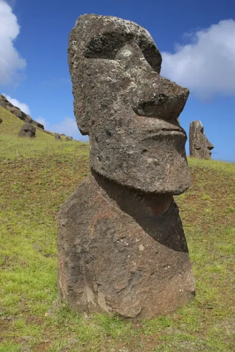 Framed Print : Easter Island, Rano Raraku, Moai Framed Print : Easter Island, Rano Raraku, Moai