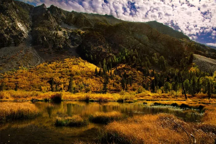Framed Print : Eastern Sierra Fall Color Framed Print : Eastern Sierra Fall Color