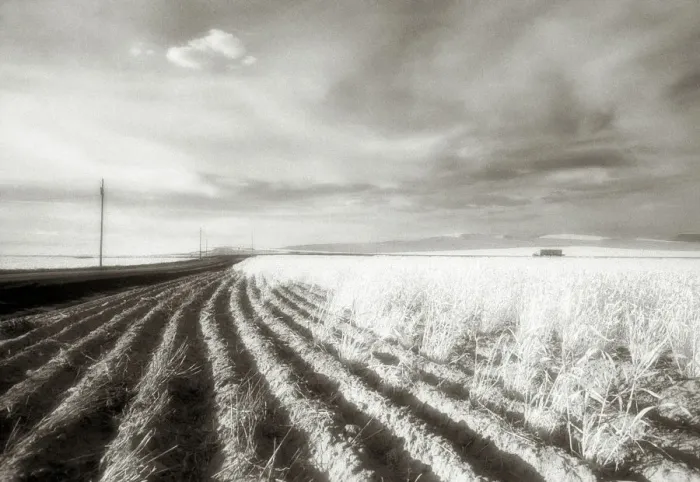 Framed Print : Eastern Washington, The Palouse, USA, black and white, grainy