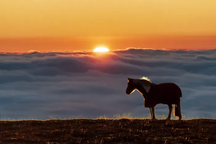 Framed Print : Eccles Pike horse, sunset above the fog, English Peak District Framed Print : Eccles Pike horse, sunset above the fog, English Peak District