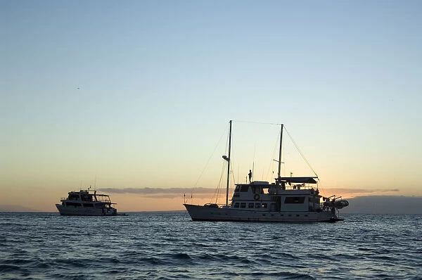 Eco-tourists on yachts at sunset
