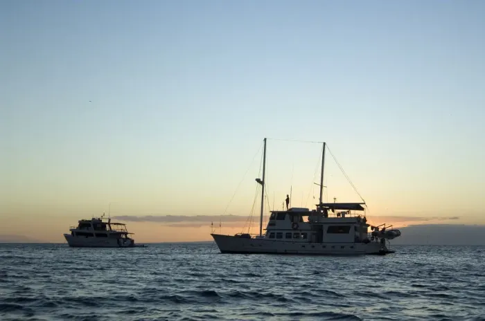 Framed Print : Eco-tourists on yachts at sunset Framed Print : Eco-tourists on yachts at sunset