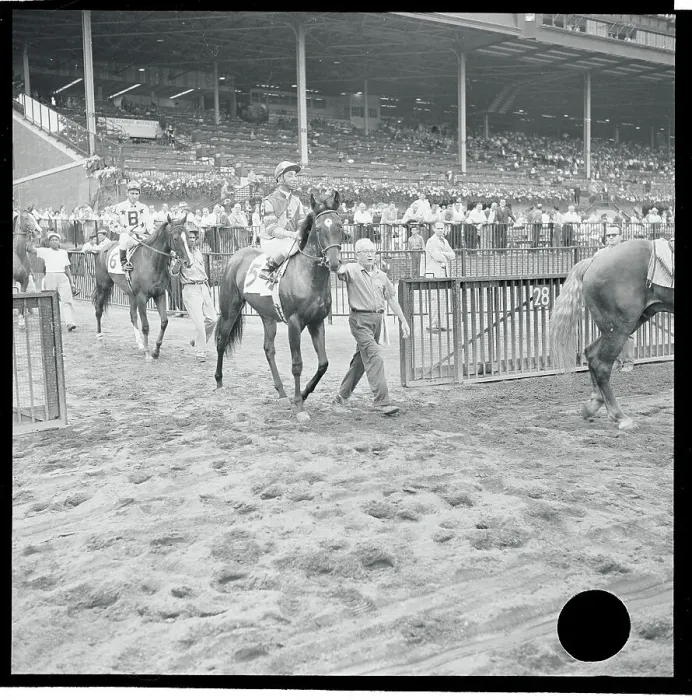 Framed Print : Eddie Arcaro Entering Race Track Framed Print : Eddie Arcaro Entering Race Track