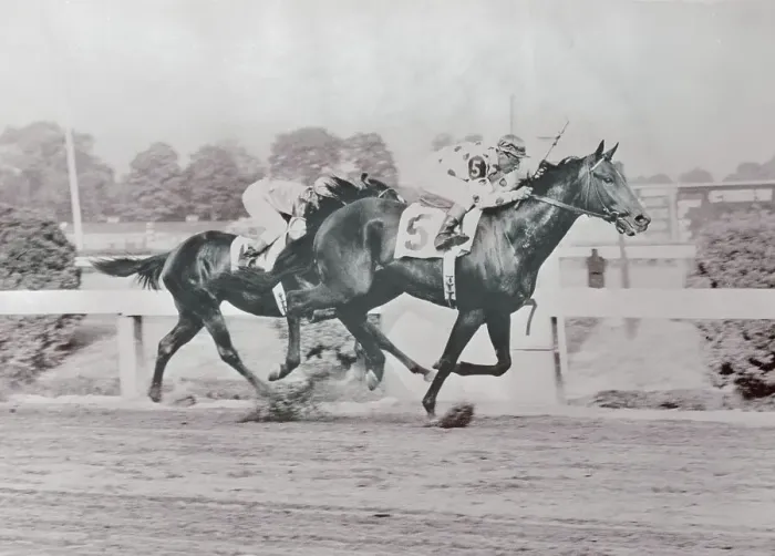 Framed Print : Eddie Arcaro Winning Preakness on Nashua Framed Print : Eddie Arcaro Winning Preakness on Nashua