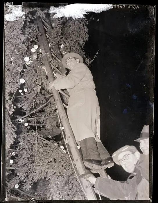 Framed Print : Eddie Cantor with Giant Christmas Tree Framed Print : Eddie Cantor with Giant Christmas Tree