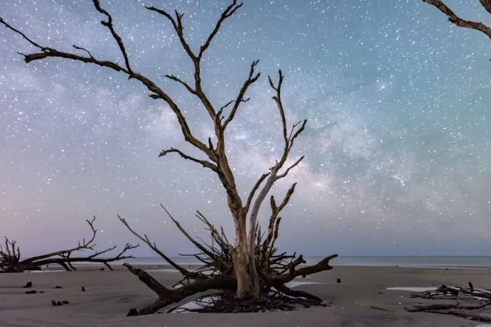 Framed Print : Edisto Island Milky Way