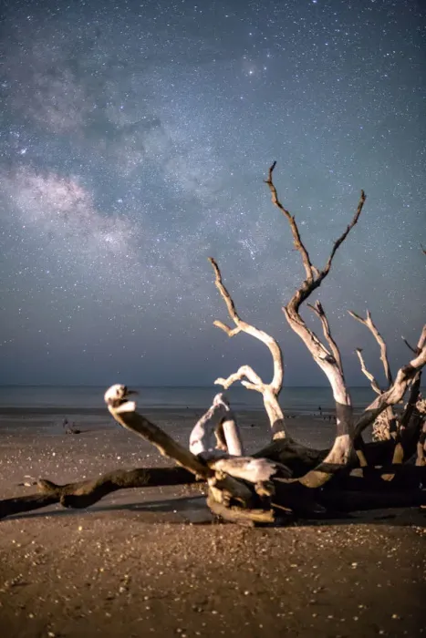 Framed Print : Edisto Island Milky Way 18 Framed Print : Edisto Island Milky Way 18