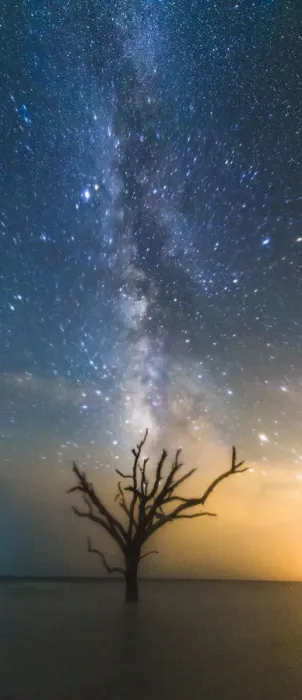 Framed Print : Edisto Milkyway Framed Print : Edisto Milkyway