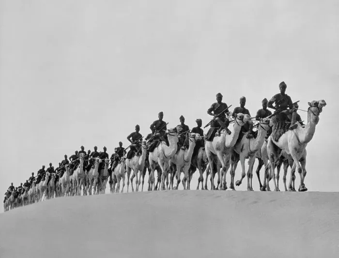 Framed Print : Egyptian Camel Corps