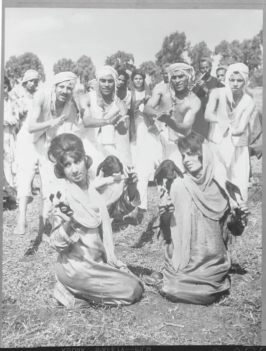Framed Print : Egyptian Girls with Goats During Village Dance