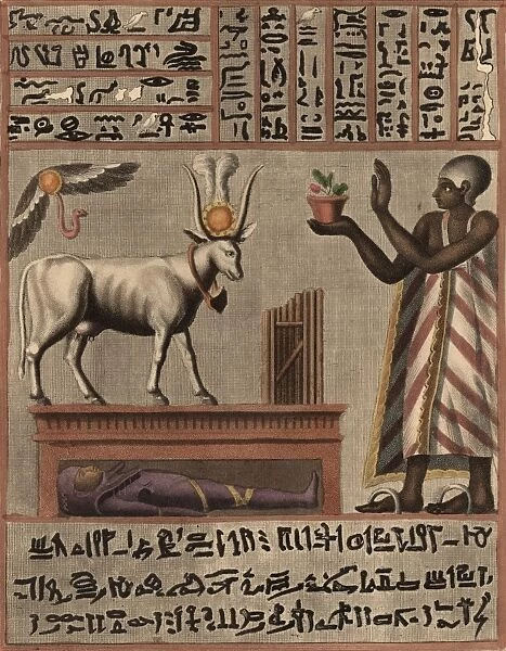 Egyptian Inscription