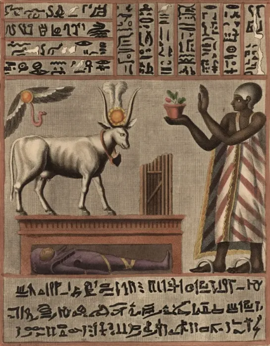 Framed Print : Egyptian Inscription Framed Print : Egyptian Inscription