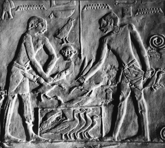 Framed Print : Egyptian Relief Framed Print : Egyptian Relief