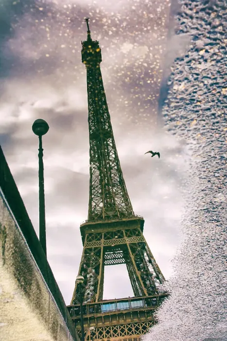 Framed Print : Eiffel Tower Framed Print : Eiffel Tower