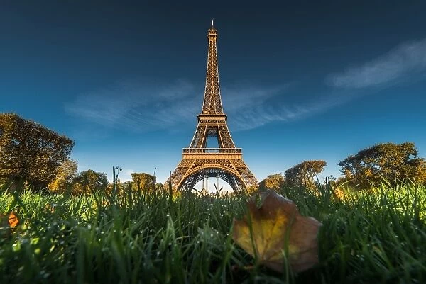 Eiffel tower with autumn leaf foreground