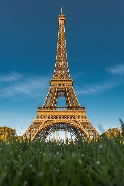 Eiffel tower with grass foreground