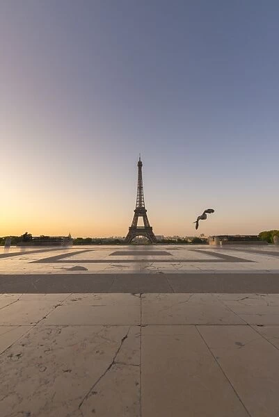 Eiffel tower view from jardins de trocadero