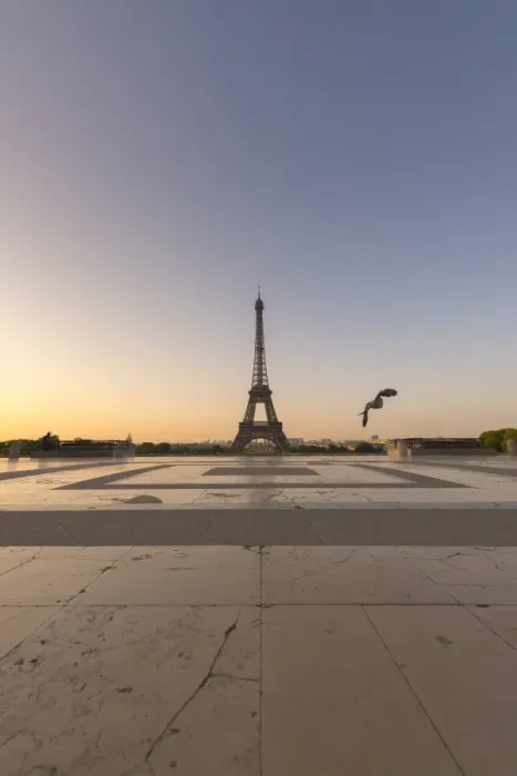 Framed Print : Eiffel tower view from jardins de trocadero Framed Print : Eiffel tower view from jardins de trocadero