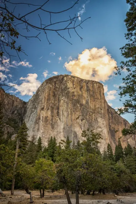 Framed Print : El Capitan Framed Print : El Capitan