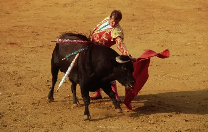 Framed Print : El Cordobes Bullfighting Framed Print : El Cordobes Bullfighting