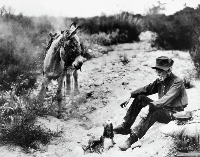 Framed Print : Elderly Gold Prospector With Burro Framed Print : Elderly Gold Prospector With Burro