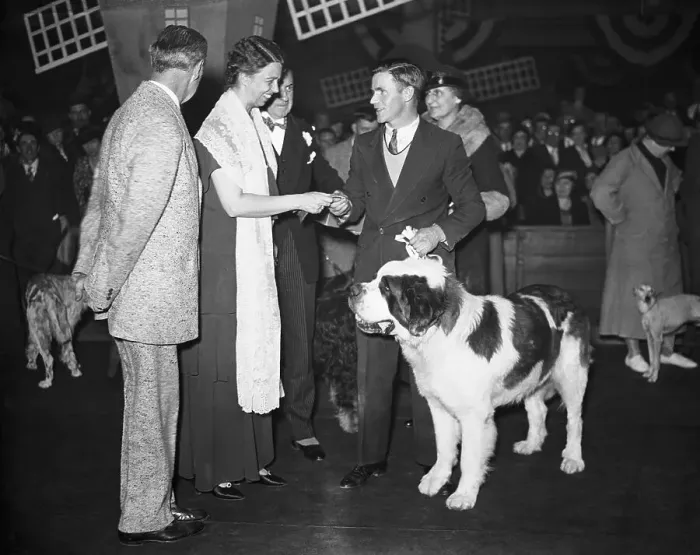 Framed Print : Eleanor Roosevelt Gives Ribbon at Dog Show Framed Print : Eleanor Roosevelt Gives Ribbon at Dog Show