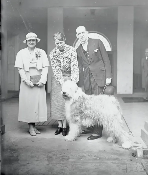 Framed Print : Eleanor Roosevelt Receiving Dog Framed Print : Eleanor Roosevelt Receiving Dog