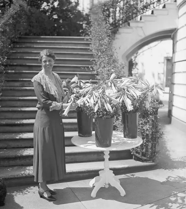 Framed Print : Eleanor Roosevelt with Vases of Easter Lilies Framed Print : Eleanor Roosevelt with Vases of Easter Lilies