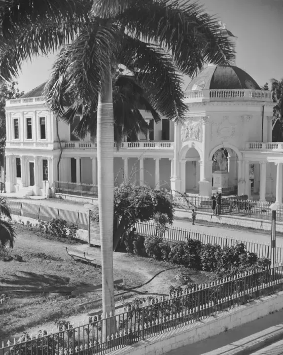 Framed Print : Elegant residence and palm tree (B&W), elevated view Framed Print : Elegant residence and palm tree (B&W), elevated view