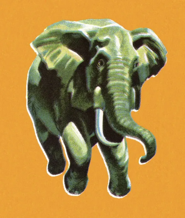 Framed Print : Elephant