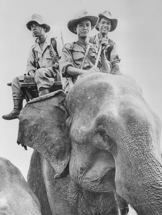 Framed Print : Elephant Carrying Cambodian Soldiers Framed Print : Elephant Carrying Cambodian Soldiers