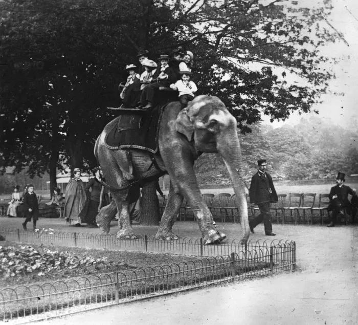 Framed Print : Elephant Ride Framed Print : Elephant Ride