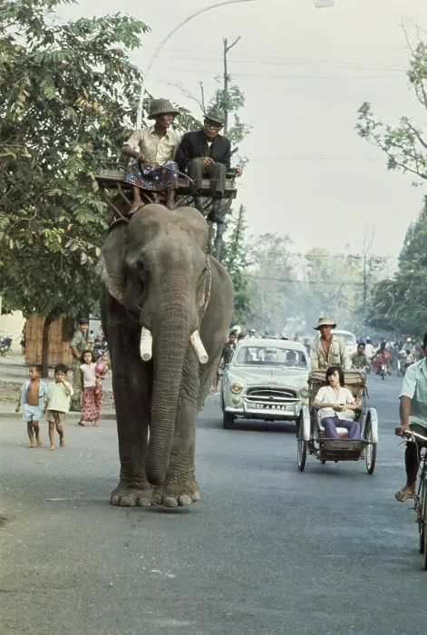 Framed Print : Elephant Ride In Cambodia Framed Print : Elephant Ride In Cambodia
