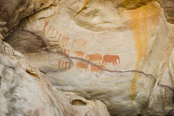 Elephant rock art paintings near Stadsaal Caves, Cederberg Wilderness Area, Western Cape Province, South Africa