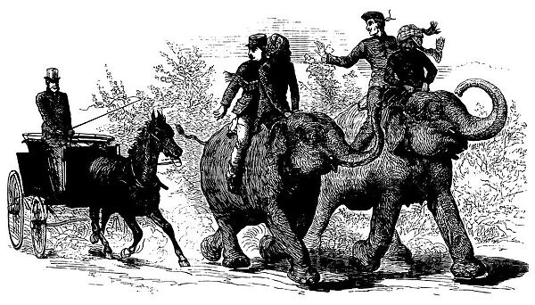 Elephant transportation - The Illustrated London News