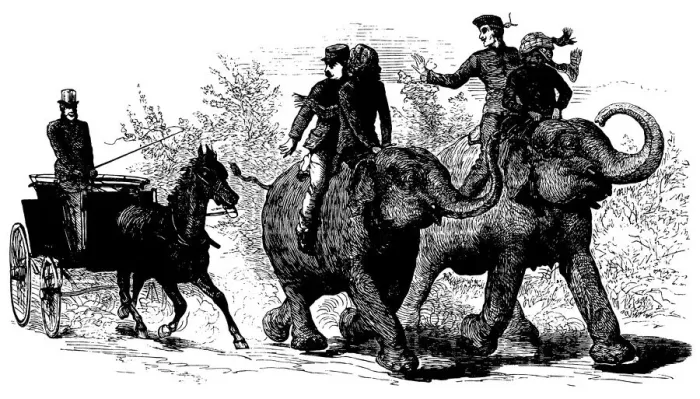 Framed Print : Elephant transportation - The Illustrated London News