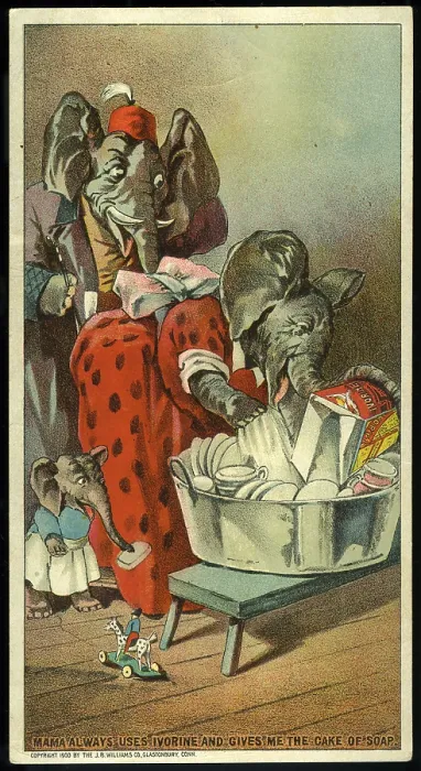 Framed Print : Elephants Doing The Wash Framed Print : Elephants Doing The Wash
