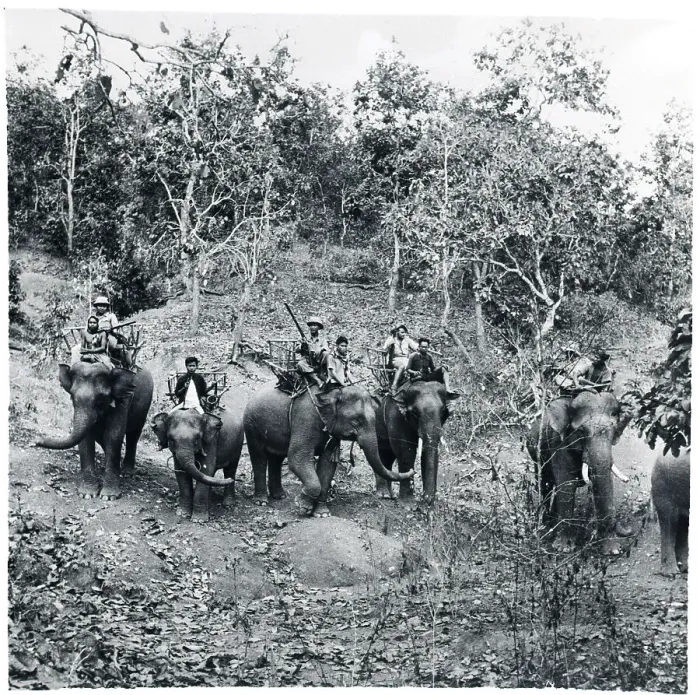 Framed Print : Elephants Used As Tanks To Carry Soldier Framed Print : Elephants Used As Tanks To Carry Soldier