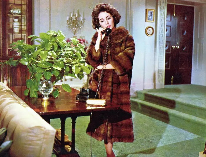 Framed Print : Elizabeth Taylor in Scene from Butterfield 8 Framed Print : Elizabeth Taylor in Scene from Butterfield 8