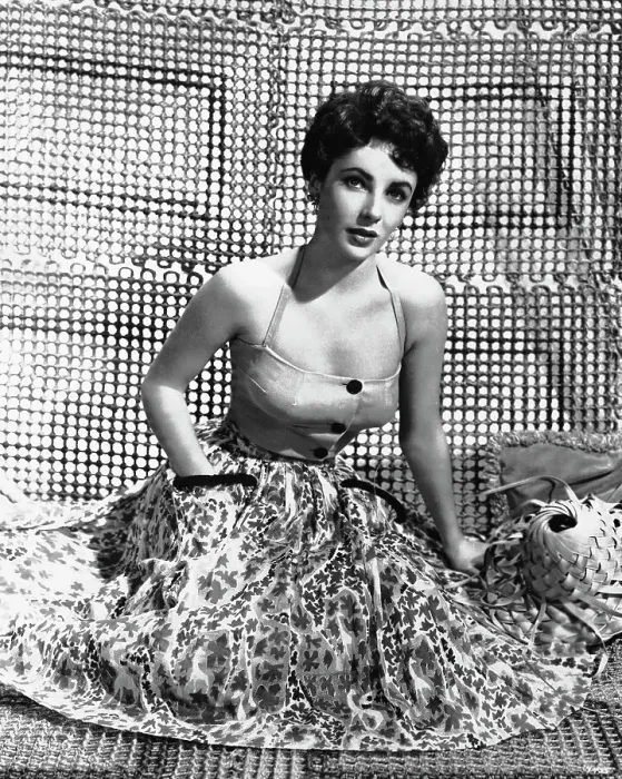 Elizabeth Taylor Seated Print, 1950s. Art Prints, Posters