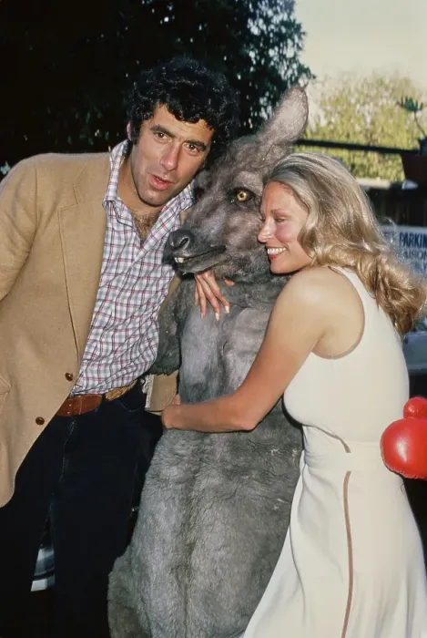 Framed Print : Elliott Gould Framed Print : Elliott Gould