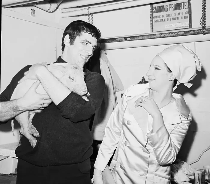 Framed Print : Elliott Gould Giving Wife Barbara Streisand a Pig Framed Print : Elliott Gould Giving Wife Barbara Streisand a Pig