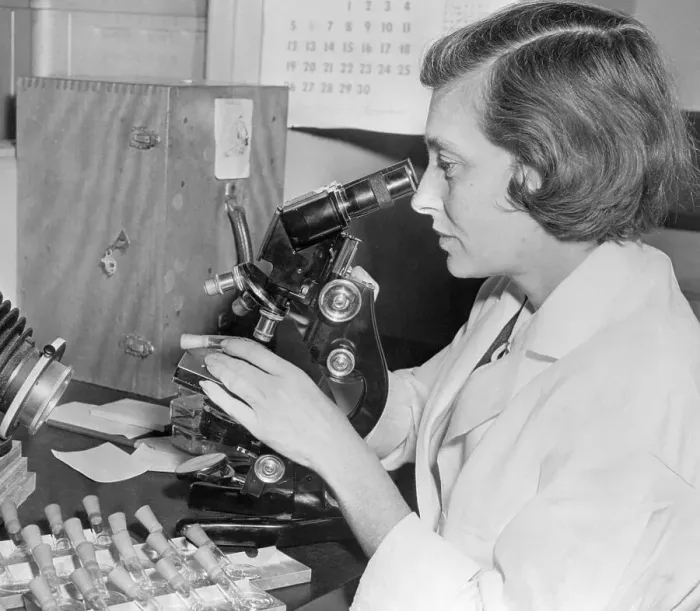 Framed Print : Elsa M Zitcer Working in Laboratory Framed Print : Elsa M Zitcer Working in Laboratory
