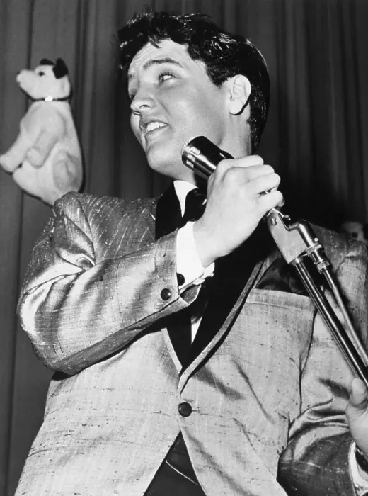 Framed Print : Elvis Presley