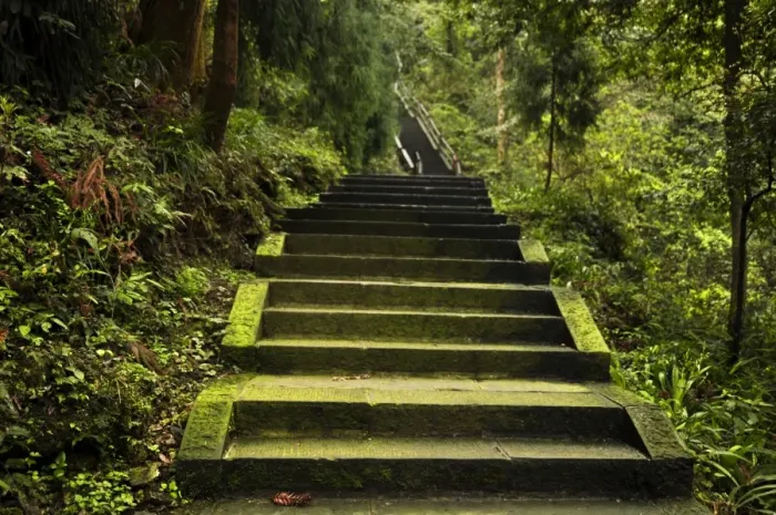 Framed Print : Emei Shan Trail Framed Print : Emei Shan Trail