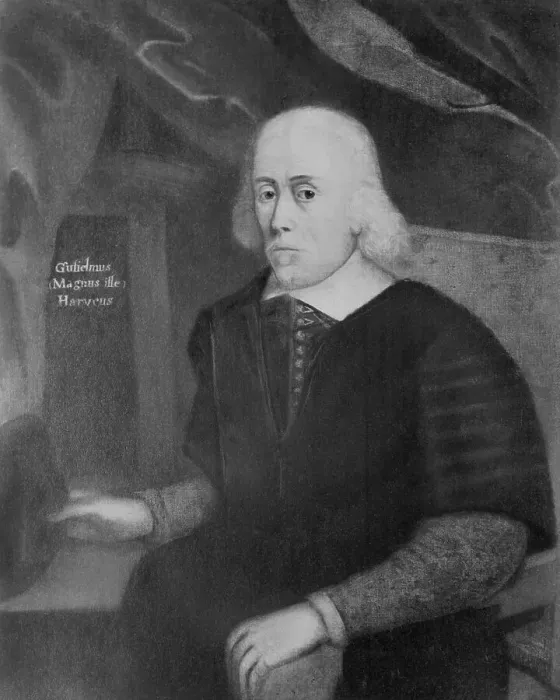 Framed Print : English Physician William Harvey Framed Print : English Physician William Harvey