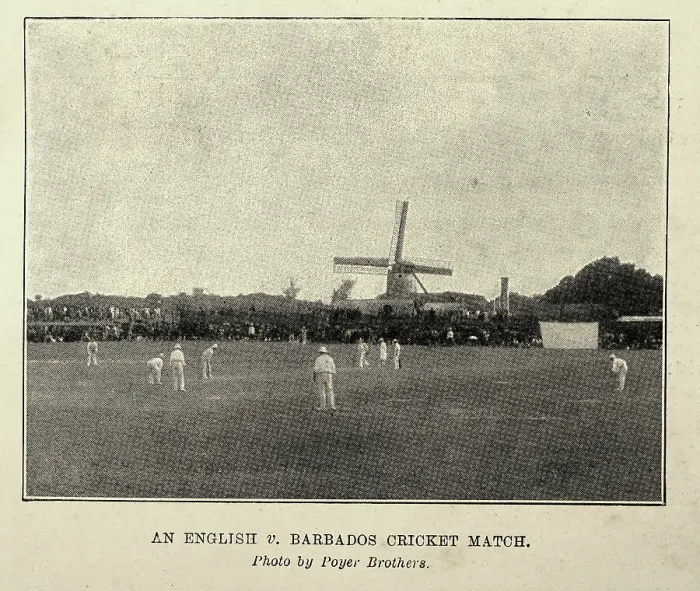 Framed Print : English vs Barbados Cricket Match, 1897, History of Victorian sports, vintage photograph Framed Print : English vs Barbados Cricket Match, 1897, History of Victorian sports, vintage photograph